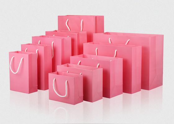 Bekleidungsgeschäft Einkaufen Papiertüte Logo Kundenspezifischer Werbeverpackungsdruck